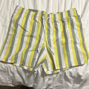 Striped Yellow and Gray Men's Swim Shorts
